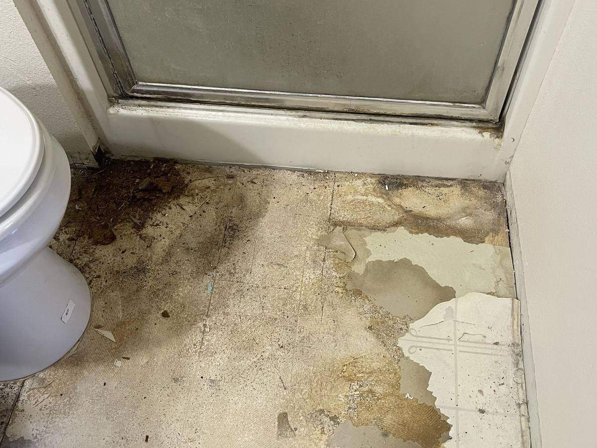 Bathroom subfloor with water damage and dry rot before repair
