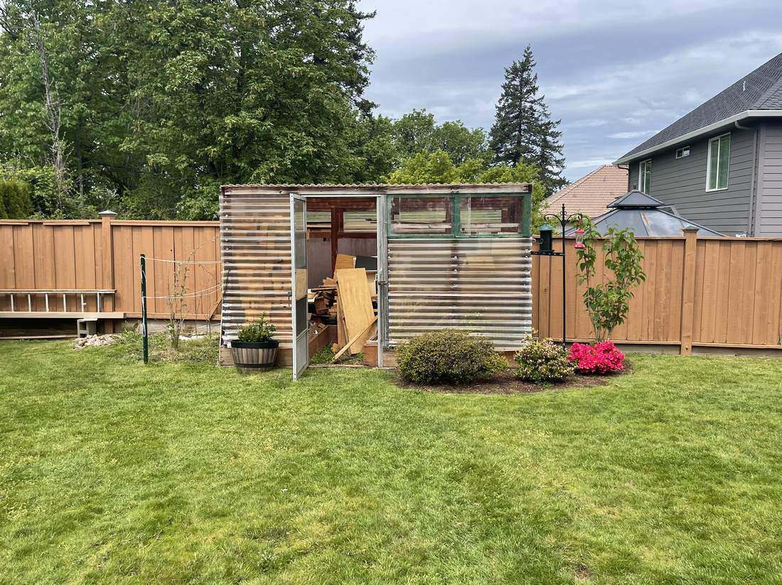 Backyard before deck build, with old shed and cedar fence