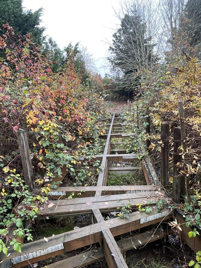 Overgrown, deteriorated wooden walking bridge before resurfacing